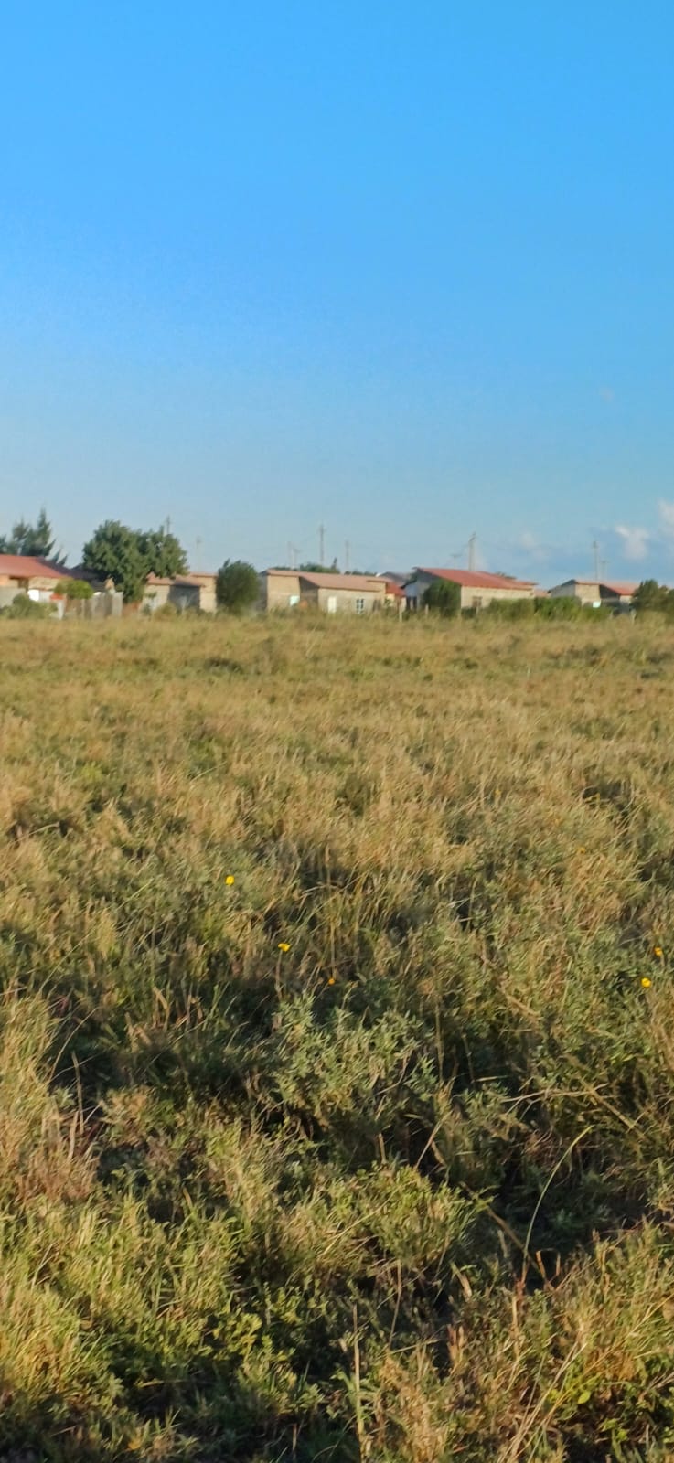 KITENGELA KAG DEVELOPMENT